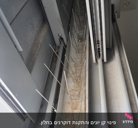 דוקרנים למניעת יונים על אדן חלון